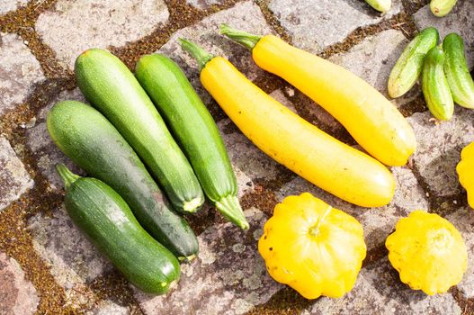 abundant harvest of zucchini ,cucumbers and squash on the garden path, summer harvest, green and yellow natural vegetables. High quality photo