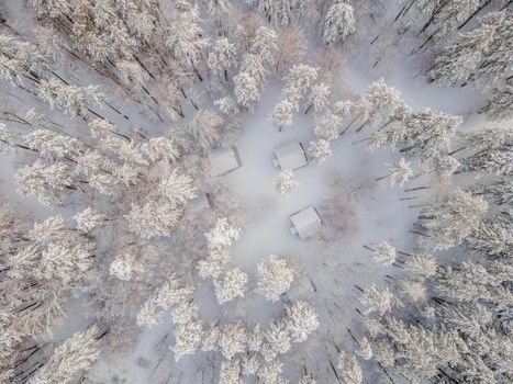 Aerial view of a winter snow-covered pine forest. Aerial drone view of a winter landscape. Snow covered forest.