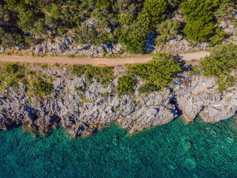 Picturesque sea Adriatic coast of Montenegro. Turquoise Mediteran sea and rocky shore with evergreen coniferous trees. Wonderful summer landscape. Drone.