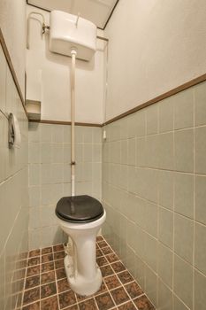 Bathroom in a cozy house with a toilet decorated with blue and brown tiles