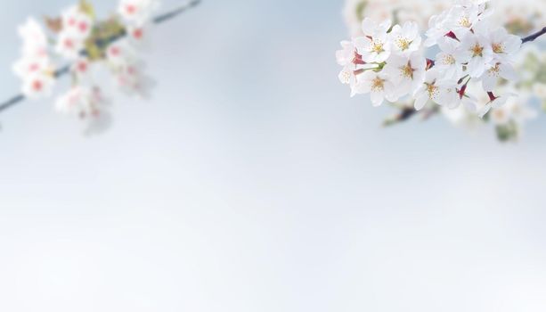 Spring banner background with copy space.