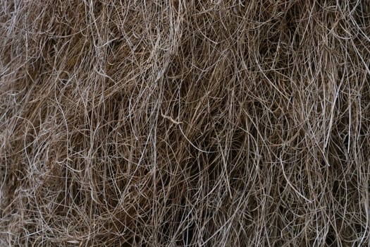 Close up of gray dry hay, background