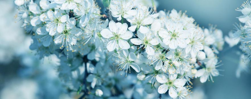 Beautiful nature scene with blooming flowers tree.