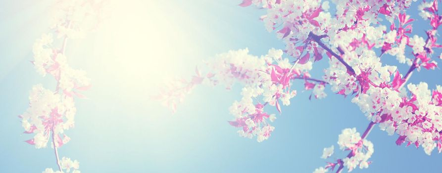 Spring banner background with copy space.