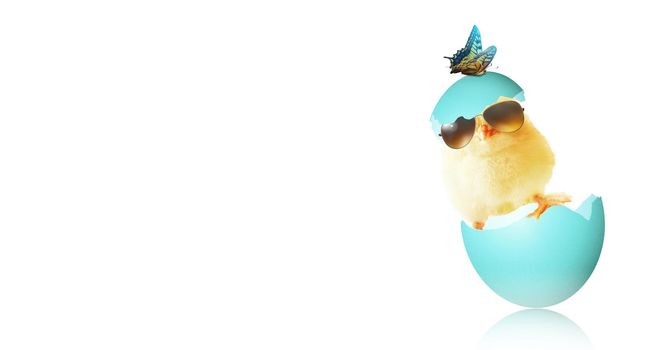 An Easter decoration with cool chicken. Easter holiday concept.