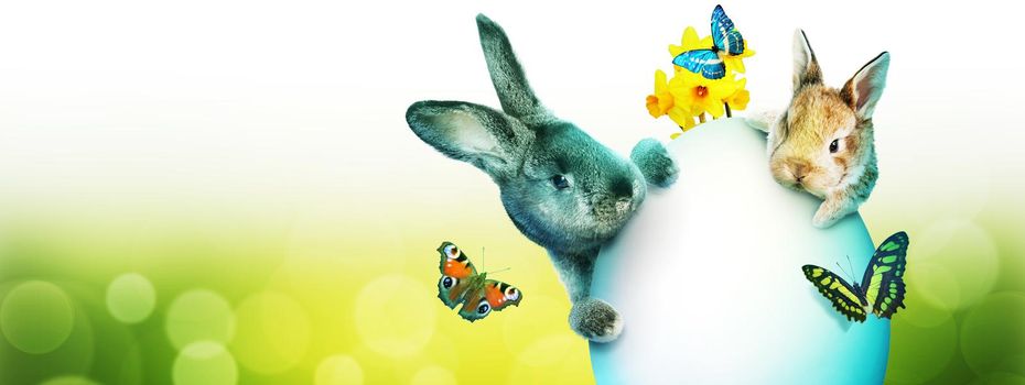 Easter composition with rabbit. Festive decoration. Happy Easter.