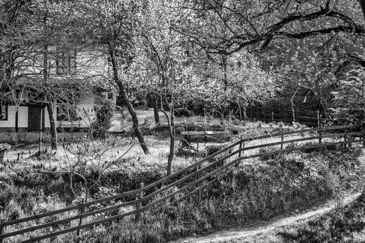 Black and white view of wooden cart decoration in the yard at the village house with wooden fence. 