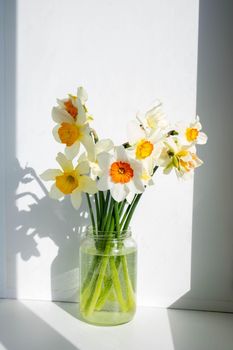 A bouquet of daffodils in a jar, on a white background on a window on a sunny day.