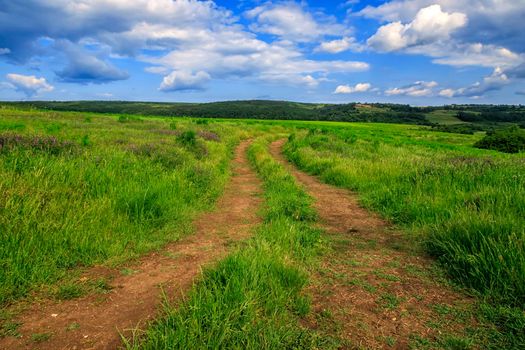 beautiful rural day landscape with the country road and cloudy sky 