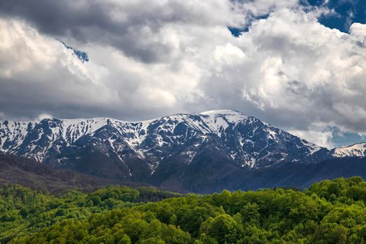 Colorful landscape in spring with snow-capped mountains and green forest.