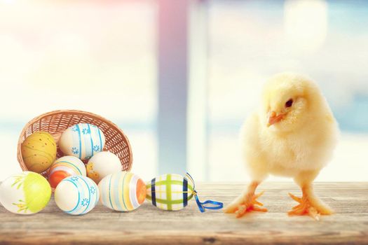 An Easter decoration with Chicken. Easter holiday concept with cute chick.