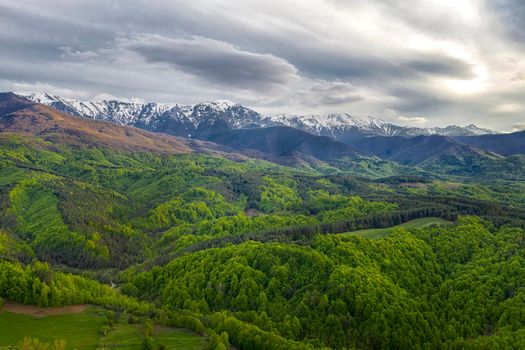 Snow-capped mountains and green forest. Colorful landscape in spring.The concept of ecotourism, travel, winter outdoor activities