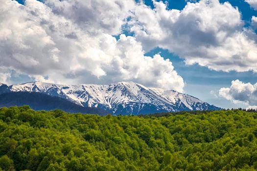 Scenic landscape in spring with snow-capped mountains and green forest.