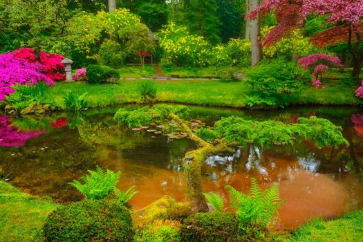 Little Japanese garden after rain, Park Clingendael, The Hague, Netherlands