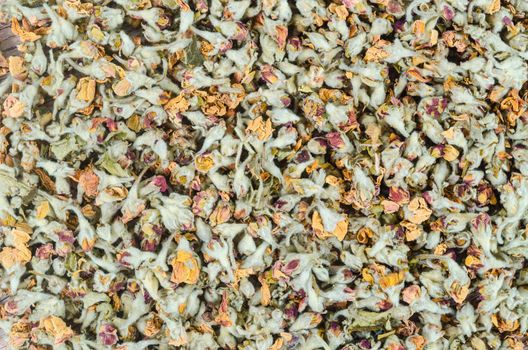 The Flower tea. Dried of apple blossom textured.