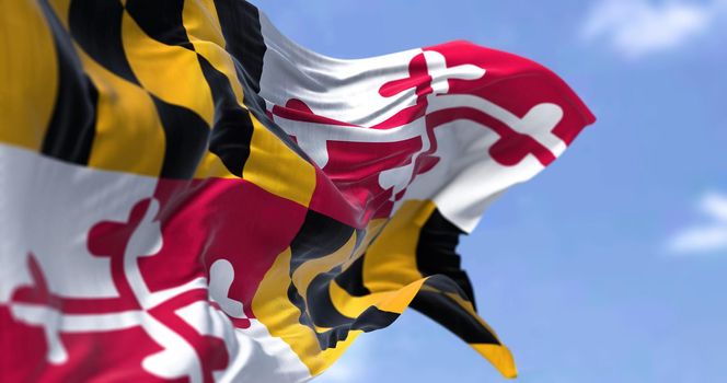 The US state flag of Maryland waving in the wind. Maryland is a state in the Mid-Atlantic region of the United States. Democracy and independence.