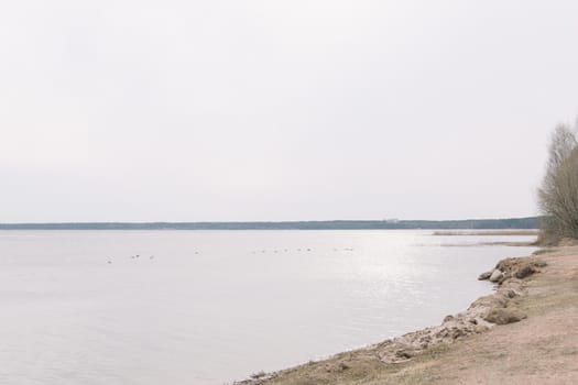 The incredible view of river or lake in spring. Blue water surface with small waves under blue sky.