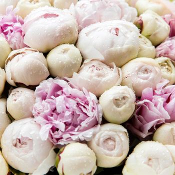 Pink and white peonies with raindrops in a bouquet.