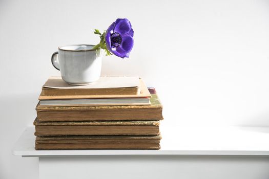 A blue anemone in a ceramic cup on a stack of old vintage books lying on a mantelpiece. Copy space
