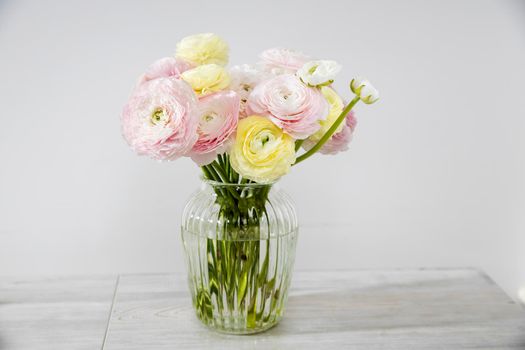 the Bouquet of pale pink and yellow Persian buttercups in the glass vase on the table on pale gray. Copy space