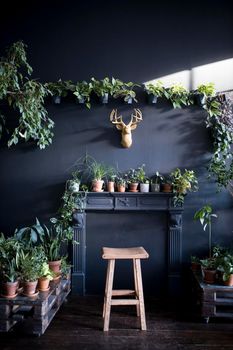 Interior of a room with indoor plants around the fireplace. A plaster gold head of a deer over the fireplace. terrace
