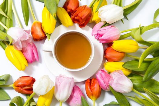 Multicolored tulips form a circle around a cup of tea on a white background. Copy space