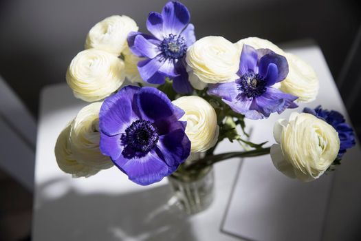 Bouquet of white ranunculus and blue anemone in the vase on a white table. Shadow