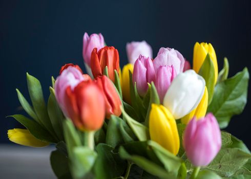 A bouquet of multi-colored tulips in a transparent vase on the tall chair with step against a dark blue background.