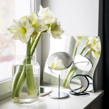 Bouquet of white lilies in a tall glass vase on a beige table against a gray wall. Window and reflections in the mirror Copy space. Fresh bud