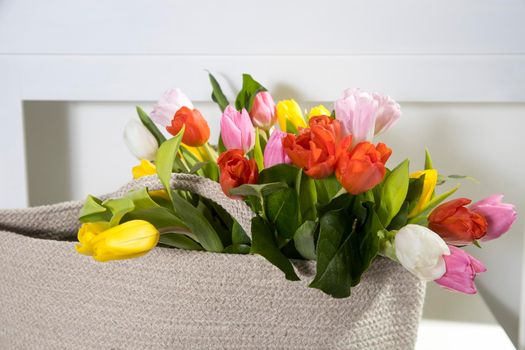 Bouquet of multicolored tulips in a white rattan wicker bag standing on the table in interior.