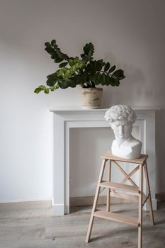 The plaster head of David on a high stool against the background of a fake fireplace panel and Zamioculcas plant in the clay pot decorate the interior. Scandinavian style
