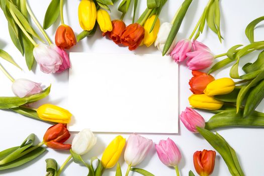 Multicolored tulips form a circle around a white blank notebook on a white background. Copy space.