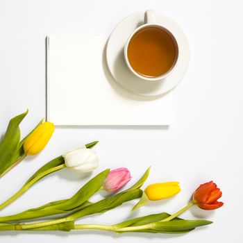 Multicolored tulips near a white blank notebook and cup of tea on a white background.