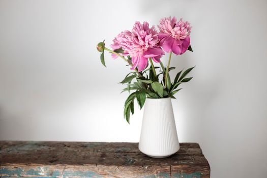 Red, pink peonies in a white vase on an old bench against a white wall background