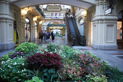 Moscow, Russia - 31 August, 2021, Flowerbeds with begonias and various types of coleus in red tones decorate the interior of GUM