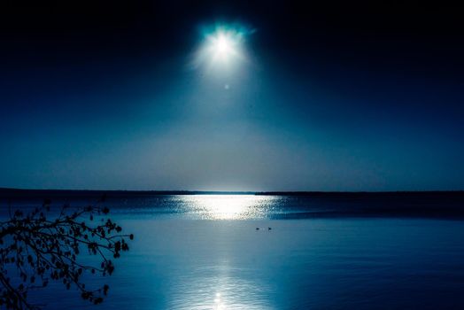 Reflection of a sunset by a lagoon inside the Amazon Rainforest Basin. The Amazon river basin comprises the countries of Brazil, Bolivia, Colombia, Ecuador, Guyana, Suriname, Peru and Venezuela.,