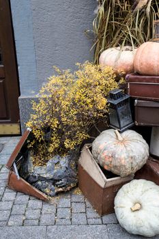 Halloween decorations: old suitcase, burlap, bush, pumpkins, straw, lanterns are located at the entrance to the house