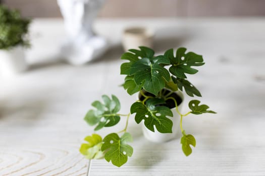 Artificial miniature copies of monstera and tropical plants are on a wooden table in a beige kitchen interior