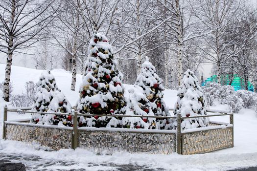 Three Christmas snow-covered trees decorate the park