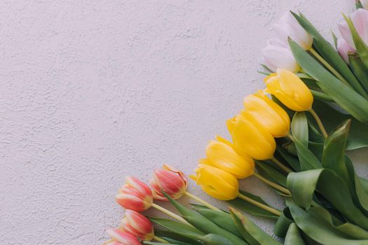 Tulips and a frame on a gray background . Tulips of kopi space. Gray background. Mockup . Space for text. A greeting card. Tulips on a gray background. Spring flowers. March eighth. Mother's Day. Birthday