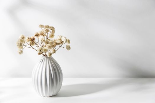 Copy space. The place for text. A vase with white dry flowers stands on a tray for Valentine's Day. Isolated on the white background. Shutter shade. Copy space