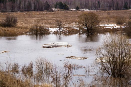 Small, broken ice floes float down the river. Spring, snow melts, dry grass all around, floods begin and the river overflows. Day, cloudy weather, soft warm light.