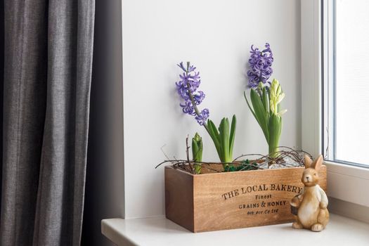 Interior decoration for Easter. Blooming blue hyacinths and books in a wooden storage box on a windowsill. Ceramic hare.