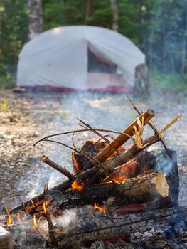 Burning campfire, with camping tent in the background, deep inside the forest, at sunset. High quality photo