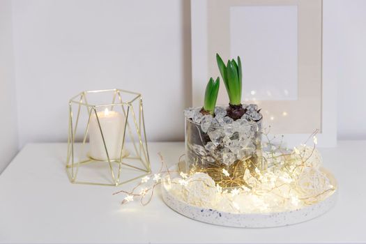 Two unopened hyacinths in a glass vase with artificial ice. Interior view in modern scandinavian style with painting canvas or poster on the wall. Living room, chest of drawers with vases.