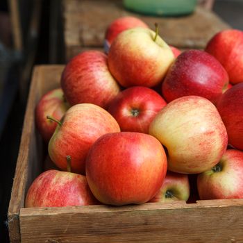 Closeup of many lower grade red apples on shelf display stand for sale in select local grocery store for background. Imperfect line of fruits and vegetables concept