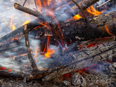 bonfire in the evening summer forest. High quality photo