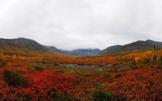 Autumn colorful tundra on the background mountain peaks in cloudy weather. Mountain landscape in Kola Peninsula, Arctic, Khibiny Mountains. photo