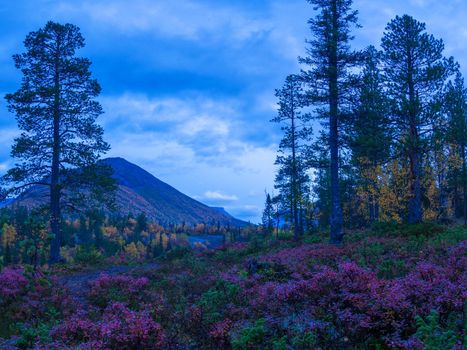 Autumn colorful tundra on the background mountain peaks in cloudy weather. Mountain landscape in Kola Peninsula, Arctic, Khibiny Mountains. photo