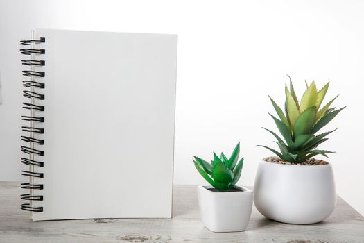 Office desk wood table of the business work place, artificial plants with copy space on grey wooden table.